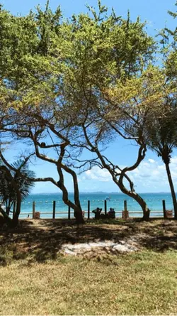 praia foto cm música
