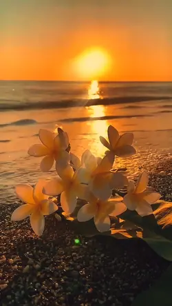 SlowMo HD quality ☀️☀️