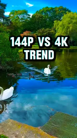 144p vs 4k trend