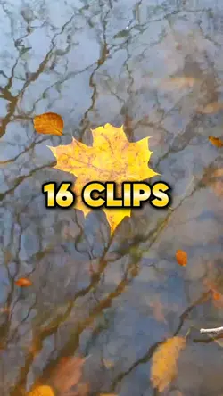 Autumn Season