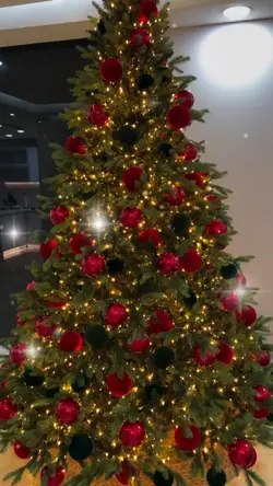 árvore de natal 