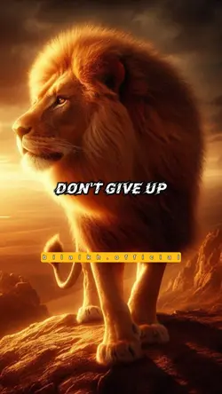 Don't GIVE UP 