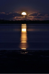 Noche de luna