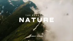 THE BEAUTY OF NATURE