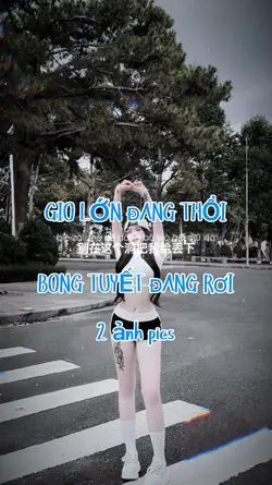 GIÓ LỚN ĐANG THỔI