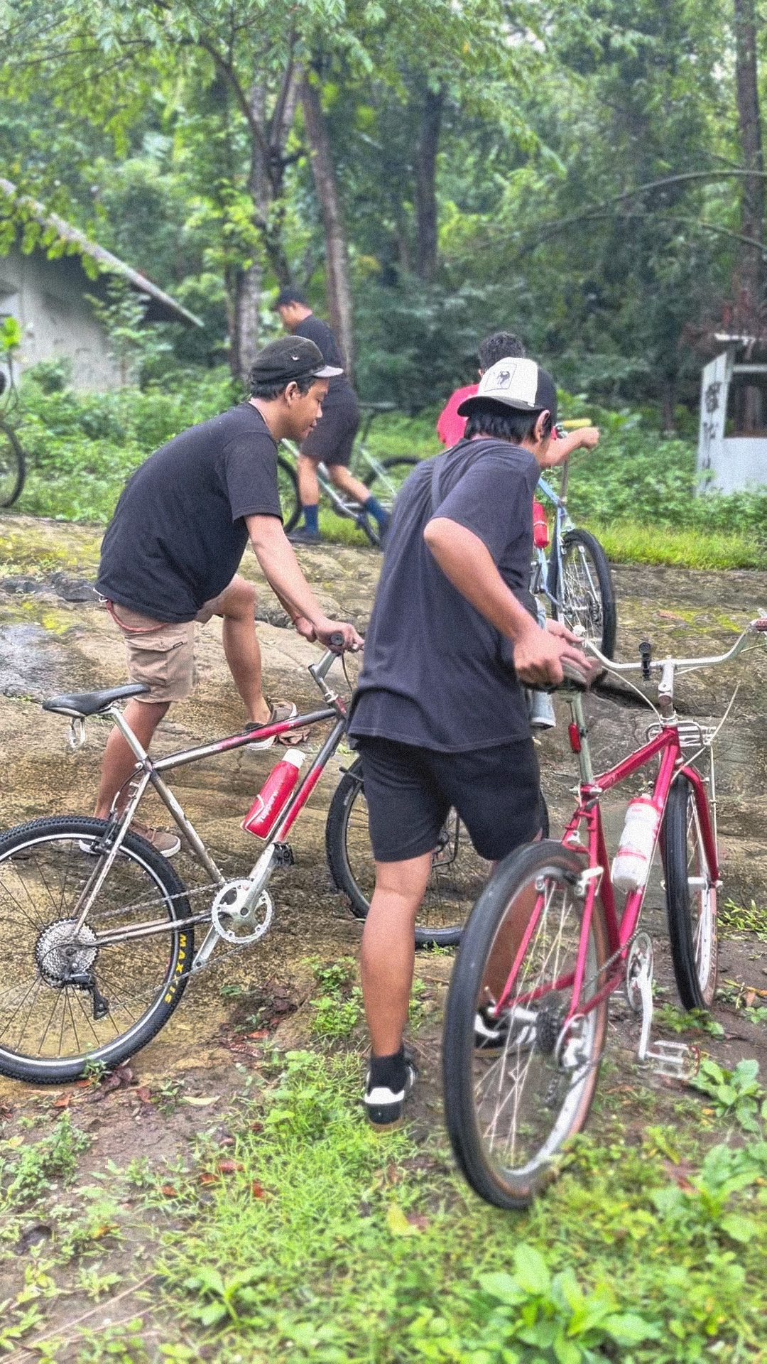 Morning Cycling
