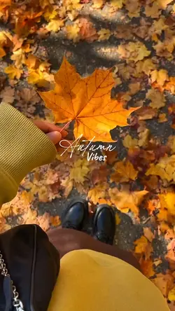Autumn vibes