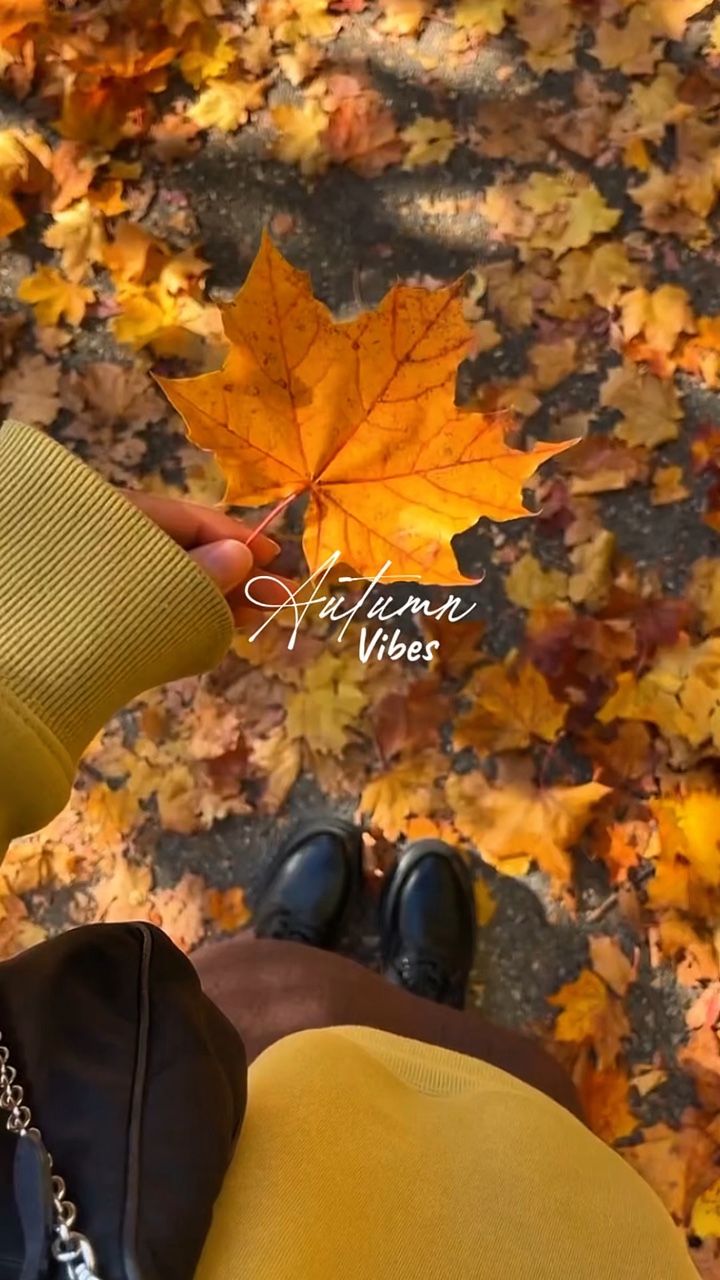 Vibraciones de otoño