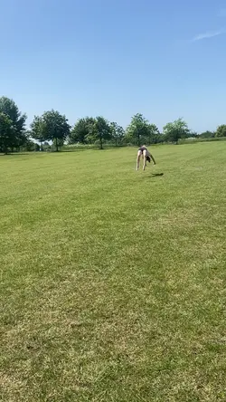 Gymnastics edit 