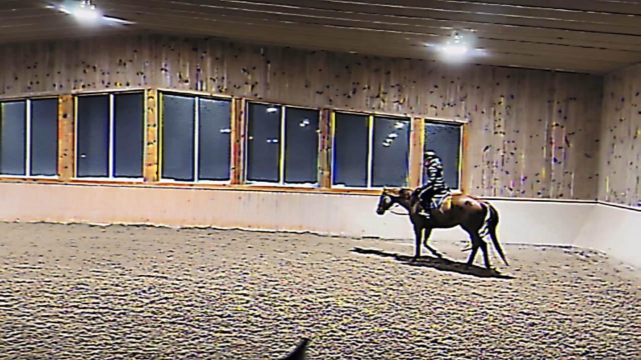 No hands on Owen🙌