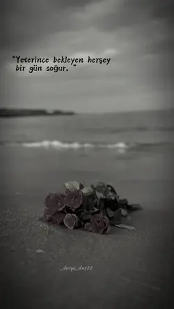 _derya_dnz22 