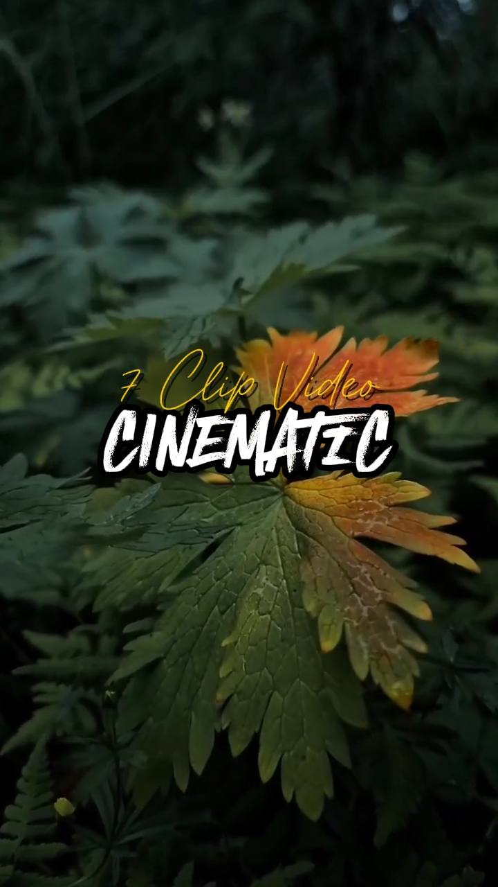 7 Clip Cinematic 
