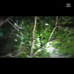 10vids