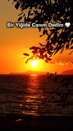 Canım Dedim 