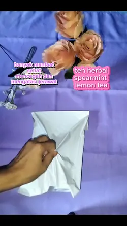 template afiliate 