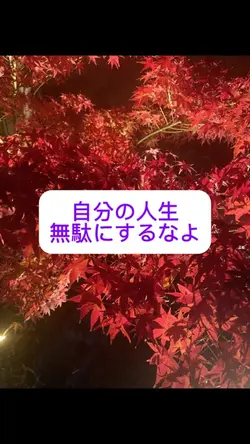 自分の人生
無駄にするなよ
