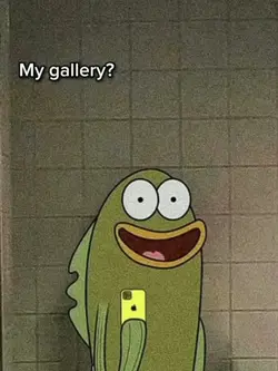 My gallery