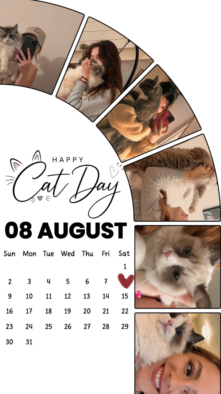 CAT HARI 8 AGUSTUS