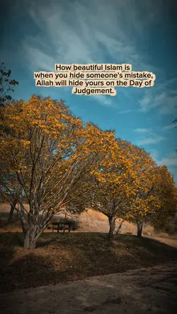 Beautiful Quote