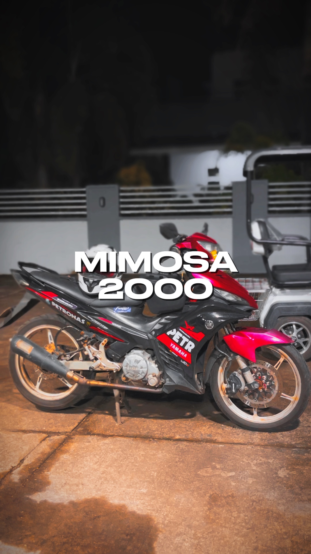 MIMOSA 2000