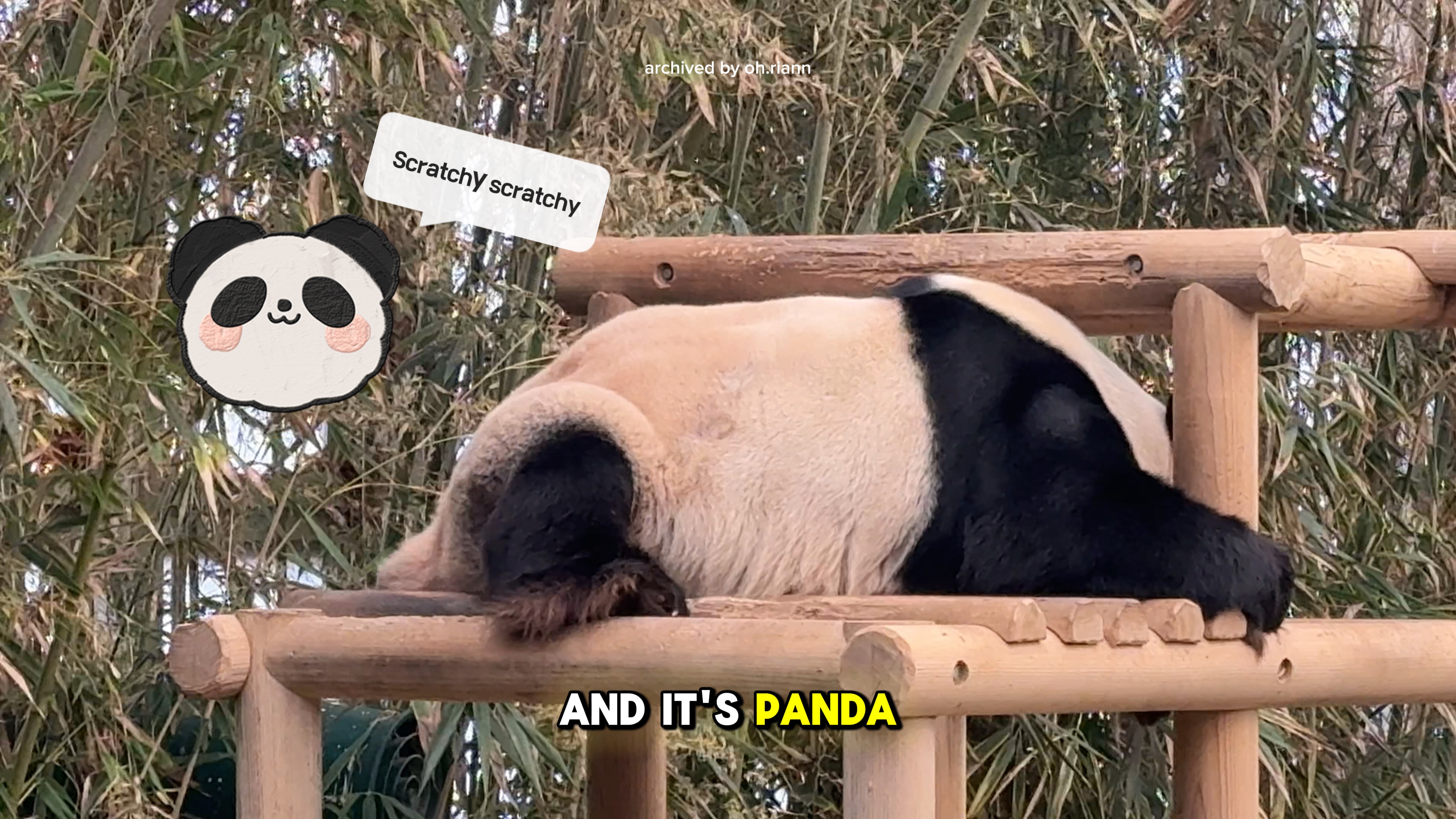 Everland Coreia 