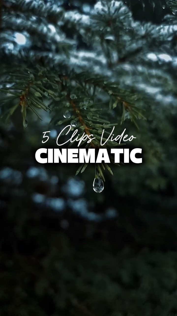 5 clipes de vídeo