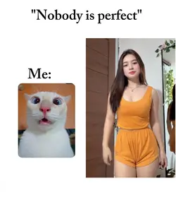 Nobody is perfect