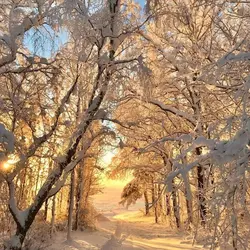 winter vibes