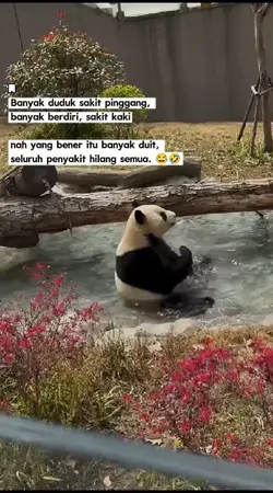 Banyak duduk sakit