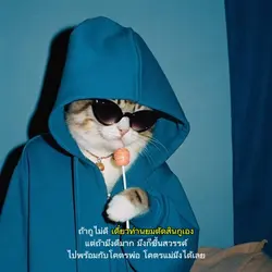 เปลี่ยนได้2รูปตึงๆ