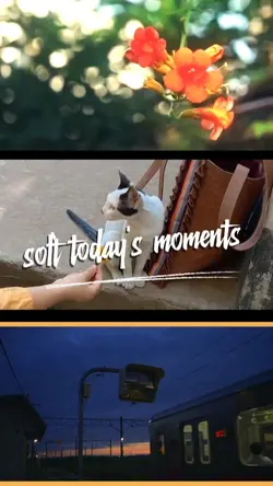 soft today's moments