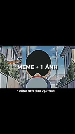 MEME + 1 ẢNH