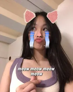 sad meow meow