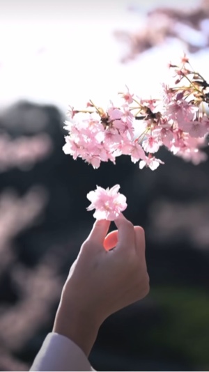 6 einfache Videoclips