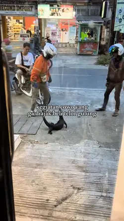 beli telor gulung