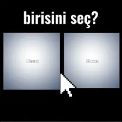 Choose one