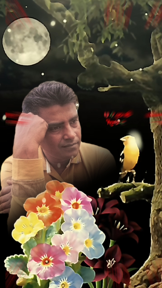 কোন মাটি দিয়ে 