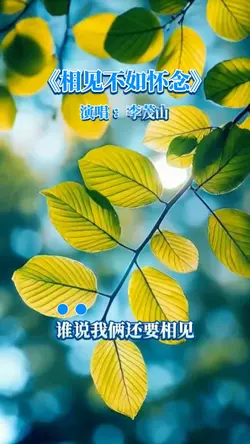 相见不如怀念