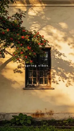 Spring vibes