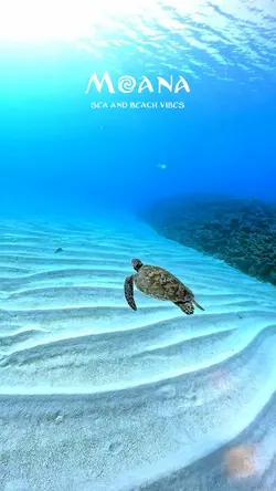 Moana sea vibes