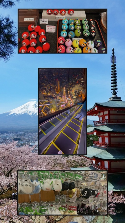 Cover Picture