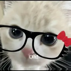 Pura vida costa rica