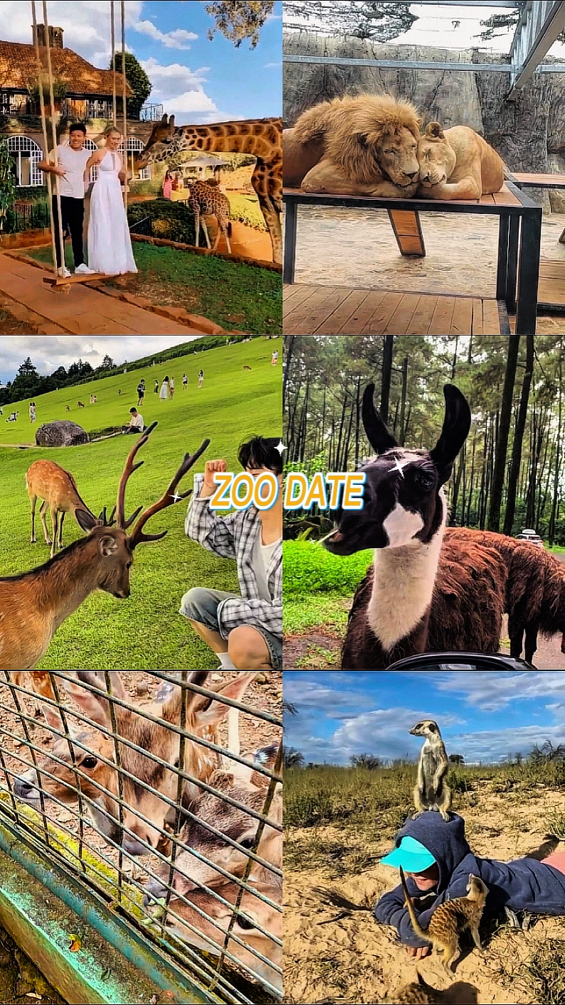 Zoo Date