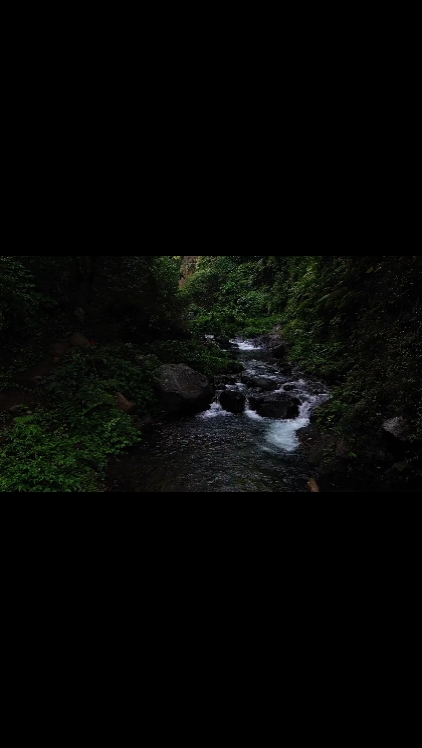 CINEMATIC AESTHETIC 