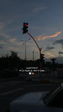 السعادة ليست بكثر 
