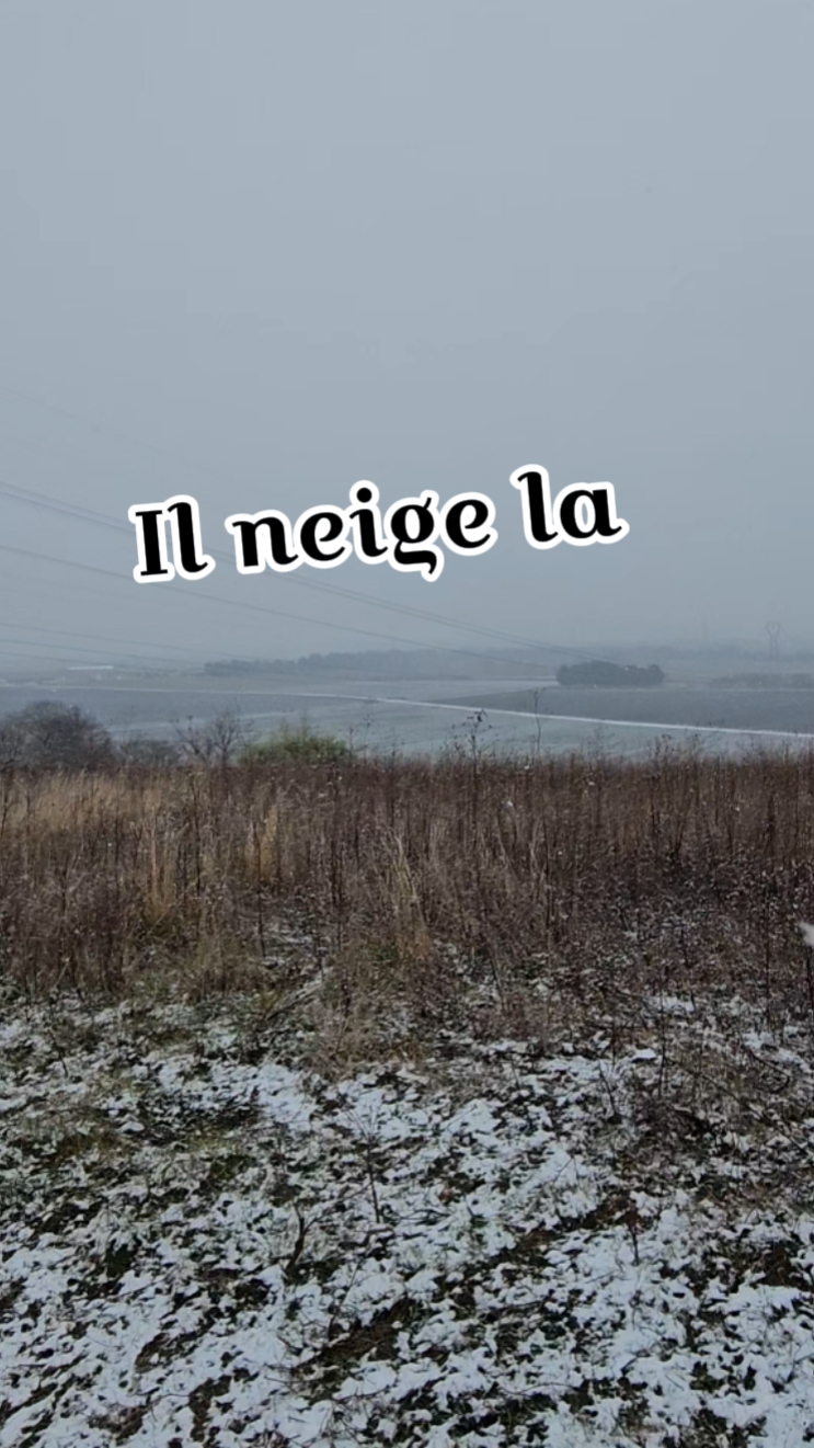il neige qxa