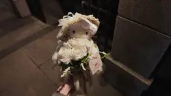 1个视频