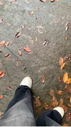 Vlog Story