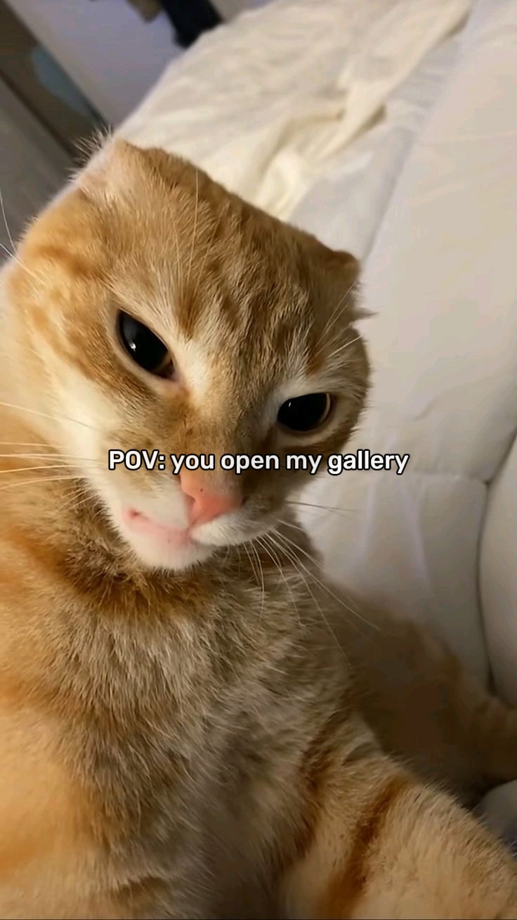 Tu ouvres ma galerie 