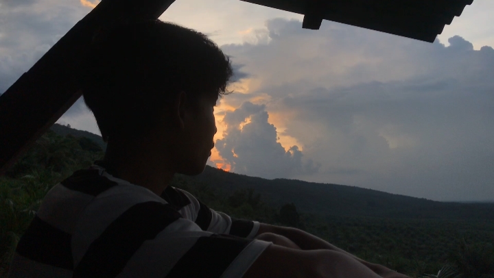 Cover Picture